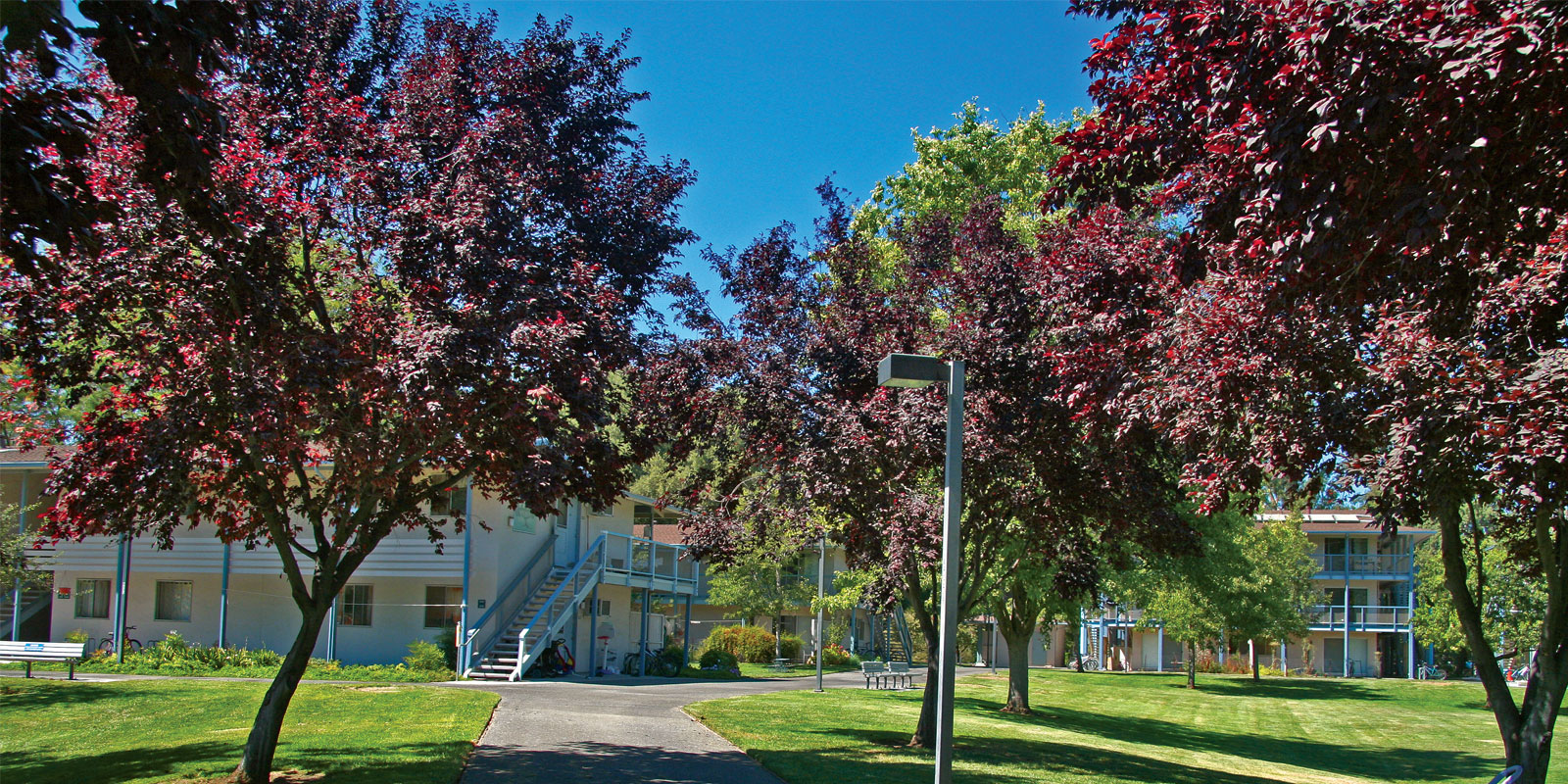 Apartments Uc Davis Student Housing And Dining Services