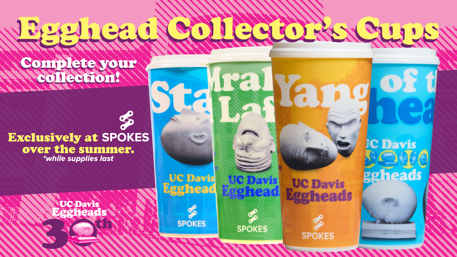 Egghead Collector's Cups - Complete your collection! Exclusively at Spokes over the summer, while supplies last.