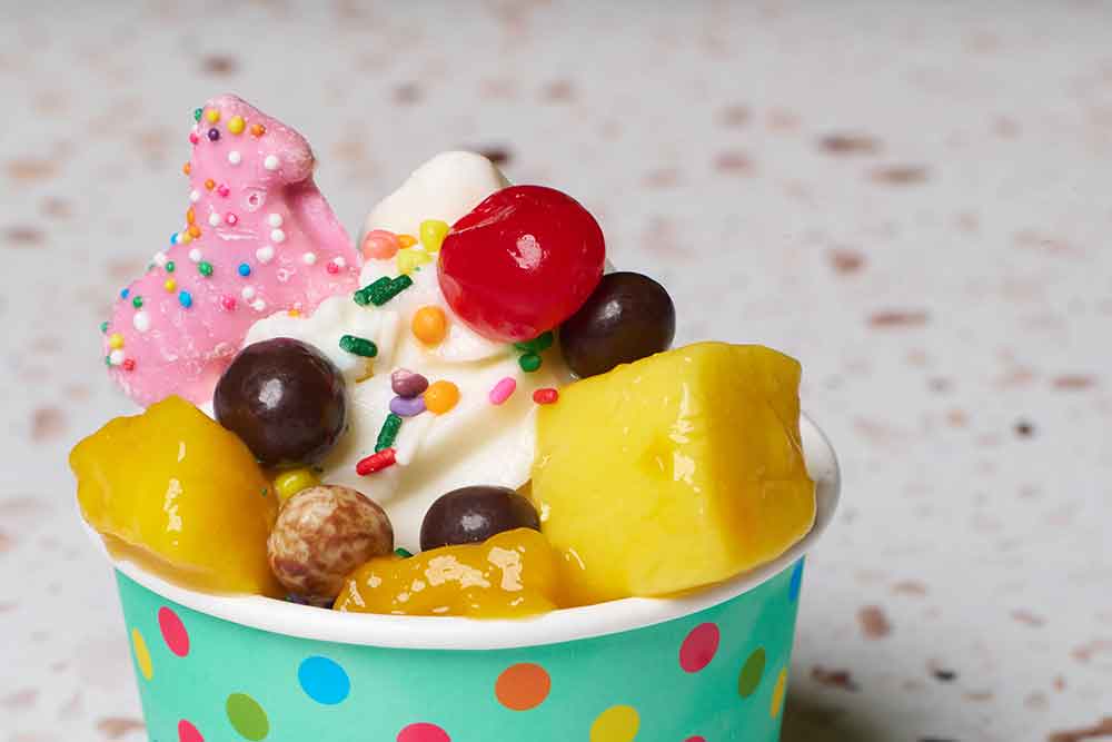 YoloBerry Yogurt