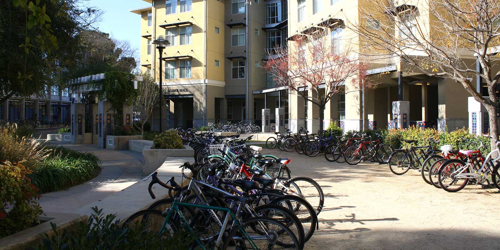 Alder Hall in the Segundo residence hall area